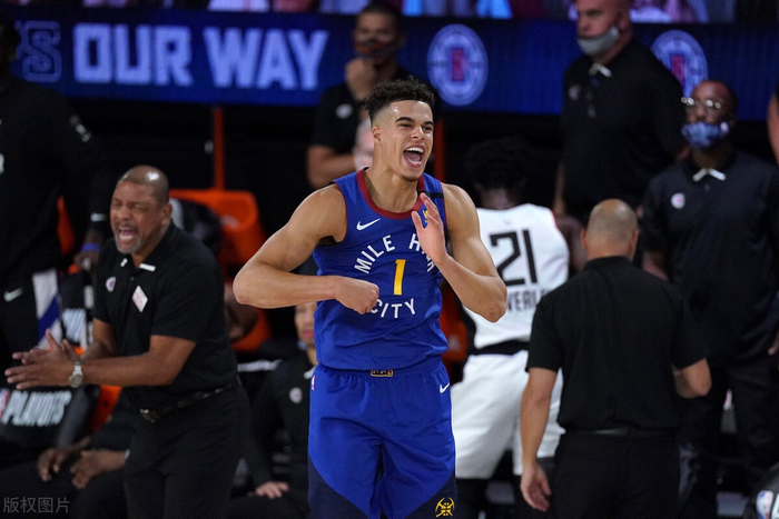 费内巴切截胡施密特